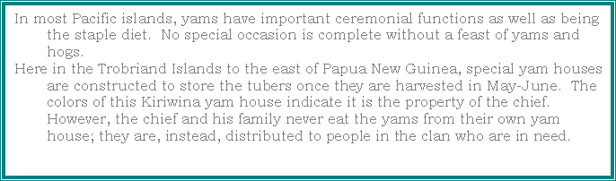 Text Box: In most Pacific islands, yams have important ceremonial functions as well as being the staple diet.  No special occasion is complete without a feast of yams and hogs.  Here in the Trobriand Islands to the east of Papua New Guinea, special yam houses are constructed to store the tubers once they are harvested in May-June.  The colors of this Kiriwina yam house indicate it is the property of the chief.  However, the chief and his family never eat the yams from their own yam house; they are, instead, distributed to people in the clan who are in need.