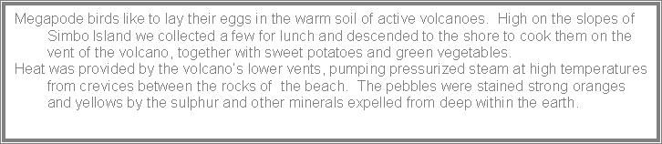 Text Box: Megapode birds like to lay their eggs in the warm soil of active volcanoes.  High on the slopes of Simbo Island we collected a few for lunch and descended to the shore to cook them on the vent of the volcano, together with sweet potatoes and green vegetables.Heat was provided by the volcano�s lower vents, pumping pressurized steam at high temperatures from crevices between the rocks of  the beach.  The pebbles were stained strong oranges and yellows by the sulphur and other minerals expelled from deep within the earth.